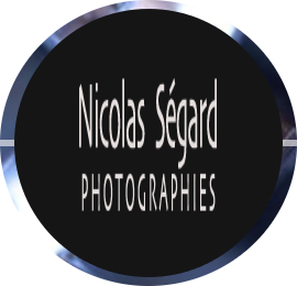 20161029_nicolas_segard_logo